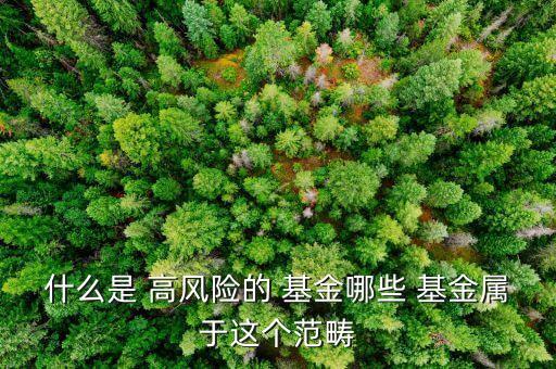 什么是 高風險的 基金哪些 基金屬于這個范疇