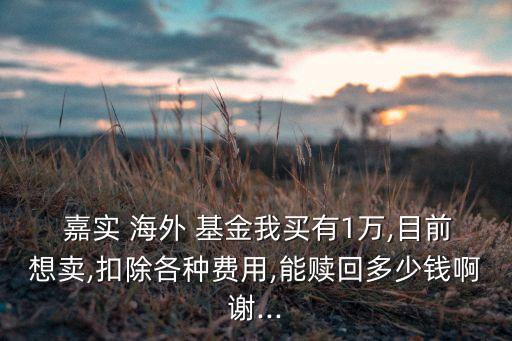 嘉實(shí)海外股票基金,嘉實(shí)智能汽車股票基金怎么樣