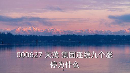 000627 天茂 集團連續(xù)九個漲停為什么
