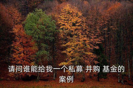 請(qǐng)問誰能給我一個(gè)私募 并購(gòu) 基金的案例