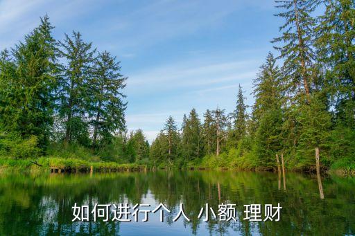 如何進(jìn)行個人 小額 理財(cái)