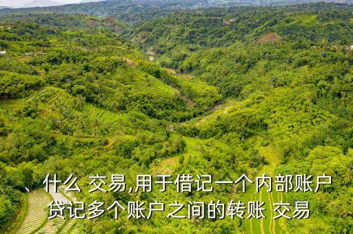 、什么 交易,用于借記一個內(nèi)部賬戶 貸記多個賬戶之間的轉(zhuǎn)賬 交易