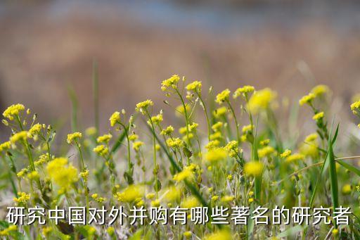 中國(guó)收購世界技術(shù)