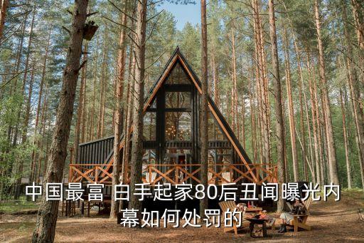 中國(guó)最富 白手起家80后丑聞曝光內(nèi)幕如何處罰的