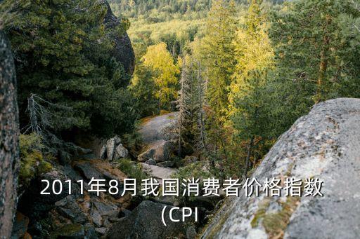  2011年8月我國消費(fèi)者價格指數(shù)(CPI