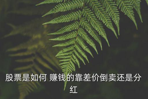 股票是如何 賺錢的靠差價倒賣還是分紅