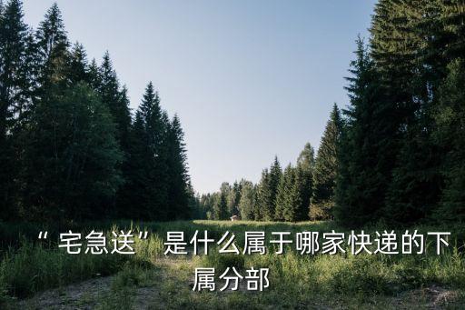 “ 宅急送”是什么屬于哪家快遞的下屬分部