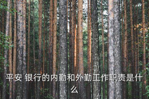 平安 銀行的內勤和外勤工作職責是什么