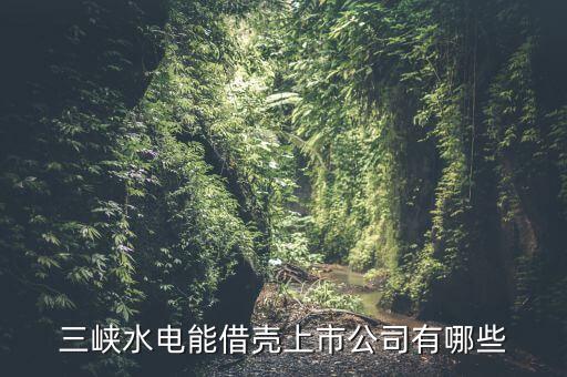 三峽水電能借殼上市公司有哪些