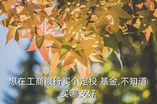 想在工商銀行買個定投 基金,不知道買哪支好