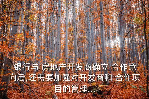  銀行與 房地產(chǎn)開發(fā)商確立 合作意向后,還需要加強(qiáng)對(duì)開發(fā)商和 合作項(xiàng)目的管理...