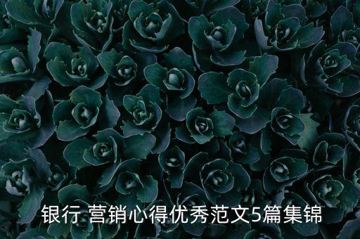  銀行 營銷心得優(yōu)秀范文5篇集錦