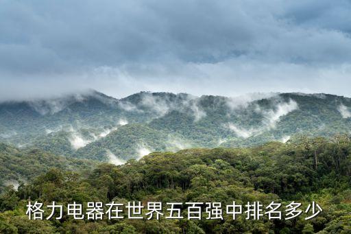 格力電器在世界五百強中排名多少