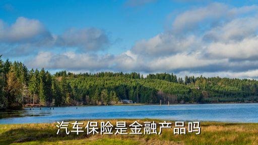汽車保險(xiǎn)是金融產(chǎn)品嗎