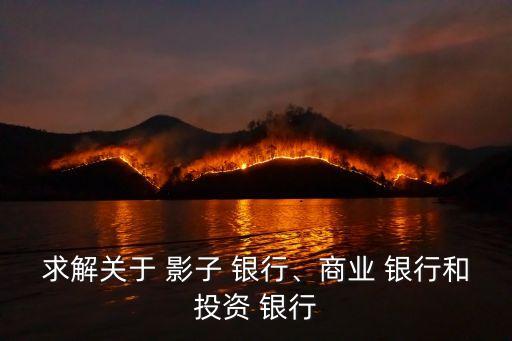 求解關(guān)于 影子 銀行、商業(yè) 銀行和投資 銀行