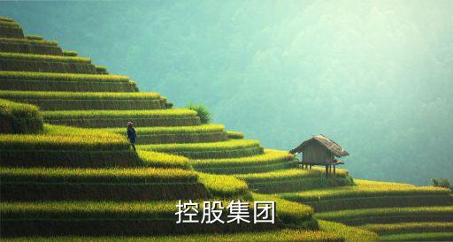 五岳控股集團(tuán)