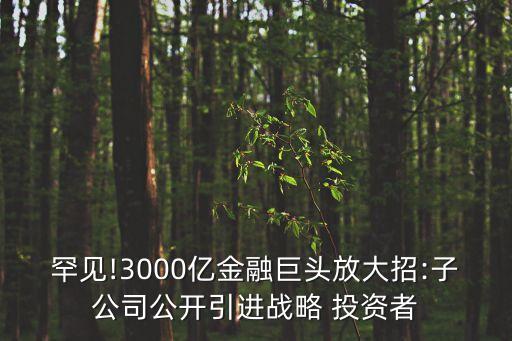罕見(jiàn)!3000億金融巨頭放大招:子公司公開引進(jìn)戰(zhàn)略 投資者