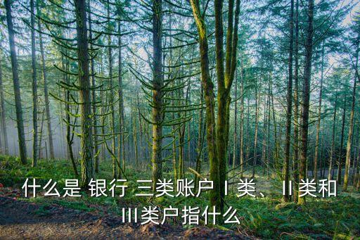 什么是 銀行 三類賬戶Ⅰ類、Ⅱ類和Ⅲ類戶指什么