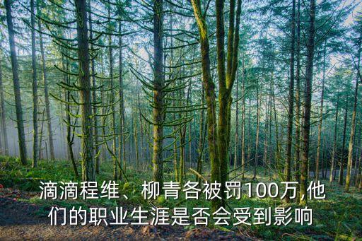  滴滴程維、柳青各被罰100萬,他們的職業(yè)生涯是否會(huì)受到影響
