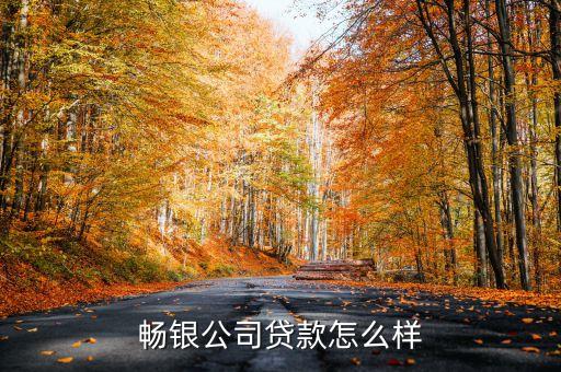 深圳市前海銀暢金融服務有限公司