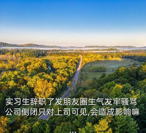 實習(xí)生辭職了發(fā)朋友圈生氣發(fā)牢騷罵 公司倒閉只對上司可見,會造成影響嘛...