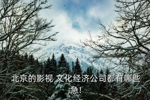 北京慈文東方文化傳媒,北京亮相東方文化傳媒有限公司
