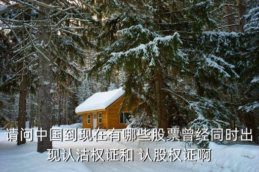 請問中國到現(xiàn)在有哪些股票曾經(jīng)同時出現(xiàn)認(rèn)沽權(quán)證和 認(rèn)股權(quán)證啊