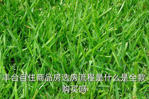 豐臺自住商品房選房流程是什么是全款購買嗎