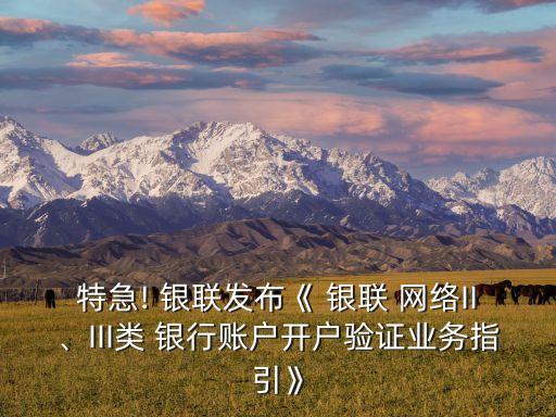 特急! 銀聯(lián)發(fā)布《 銀聯(lián) 網(wǎng)絡(luò)II、III類 銀行賬戶開戶驗(yàn)證業(yè)務(wù)指引》