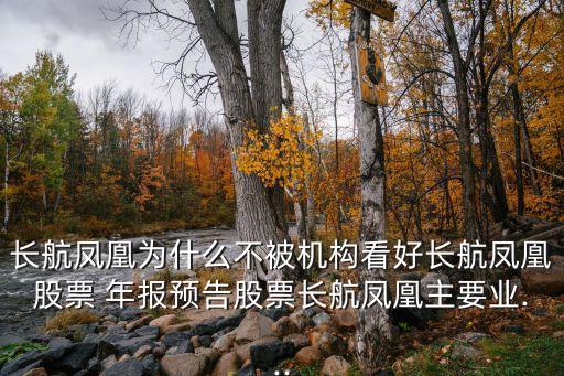 長(zhǎng)航鳳凰為什么不被機(jī)構(gòu)看好長(zhǎng)航鳳凰股票 年報(bào)預(yù)告股票長(zhǎng)航鳳凰主要業(yè)...