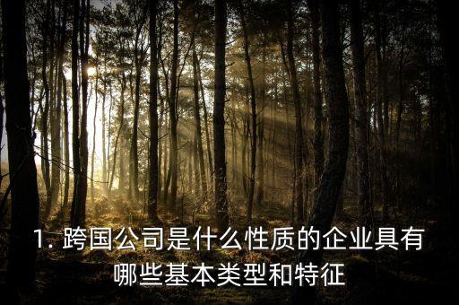 1. 跨國(guó)公司是什么性質(zhì)的企業(yè)具有哪些基本類(lèi)型和特征