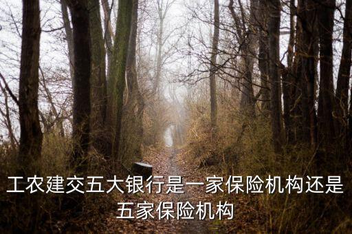 工農建交五大銀行是一家保險機構還是五家保險機構