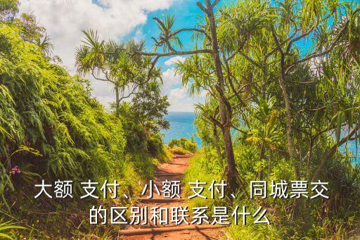  大額 支付、小額 支付、同城票交的區(qū)別和聯(lián)系是什么