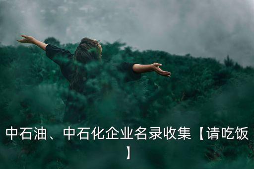 中石油、中石化企業(yè)名錄收集【請(qǐng)吃飯】