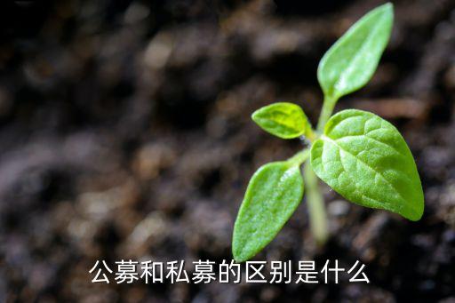  公募和私募的區(qū)別是什么