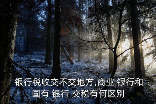  銀行稅收交不交地方,商業(yè) 銀行和國有 銀行 交稅有何區(qū)別