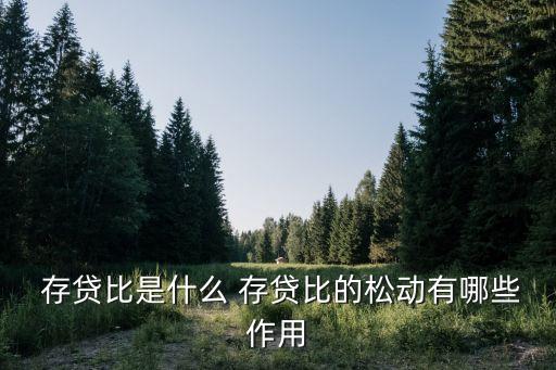  存貸比是什么 存貸比的松動有哪些作用