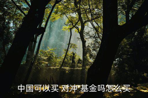 中國(guó)可以買(mǎi) 對(duì)沖 基金嗎怎么買(mǎi)