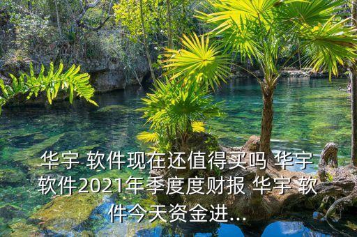  華宇 軟件現(xiàn)在還值得買嗎 華宇 軟件2021年季度度財報 華宇 軟件今天資金進...