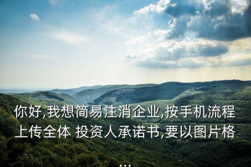 你好,我想簡(jiǎn)易注消企業(yè),按手機(jī)流程上傳全體 投資人承諾書(shū),要以圖片格...