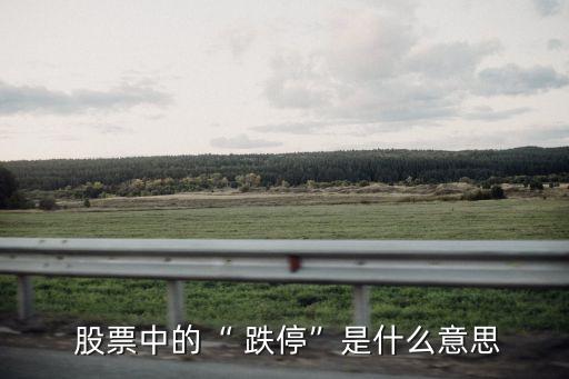  股票中的“ 跌?！笔鞘裁匆馑? class=
