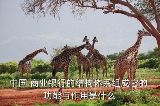 商業(yè)銀行資本的構成及功能,巴塞爾協議對商業(yè)銀行資本構成的規(guī)定