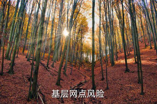 銀行基層網(wǎng)點風險