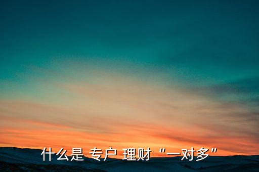 什么是 專戶 理財(cái)“一對多”
