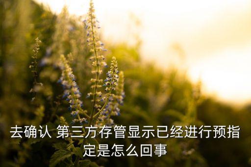 去確認(rèn) 第三方存管顯示已經(jīng)進行預(yù)指定是怎么回事