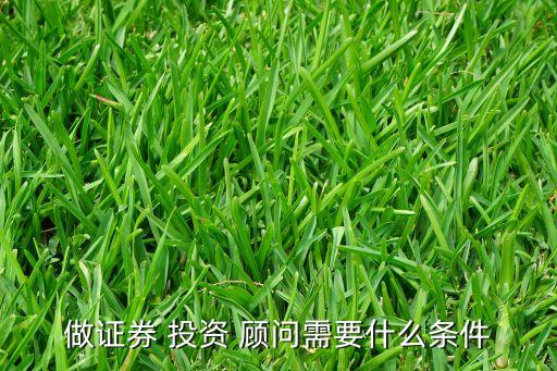 做證券 投資 顧問(wèn)需要什么條件