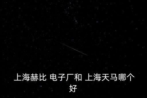  上海赫比 電子廠和 上海天馬哪個(gè)好