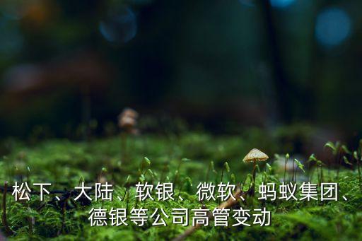 松下、大陸、軟銀、微軟、螞蟻集團(tuán)、德銀等公司高管變動