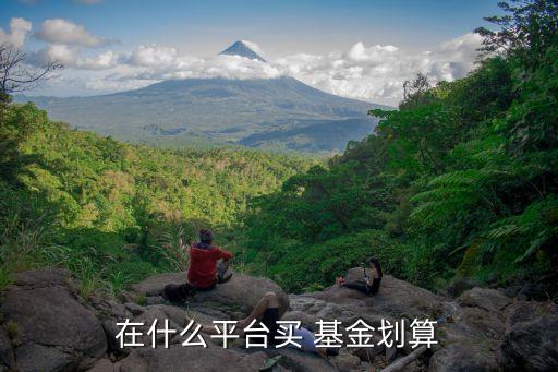 哪個網(wǎng)站買基金便宜,哪個平臺買基金手續(xù)費最便宜