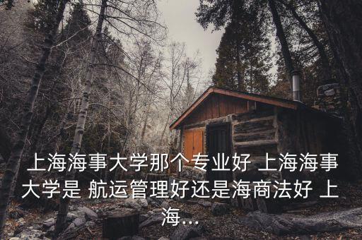  上海海事大學(xué)那個專業(yè)好 上海海事大學(xué)是 航運(yùn)管理好還是海商法好 上海...